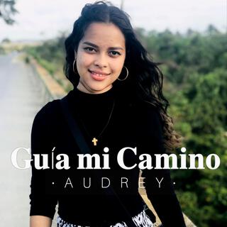 Guía mi Camino