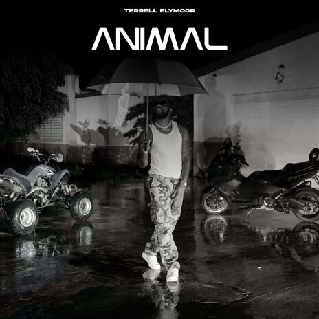 Animal | Boomplay Music