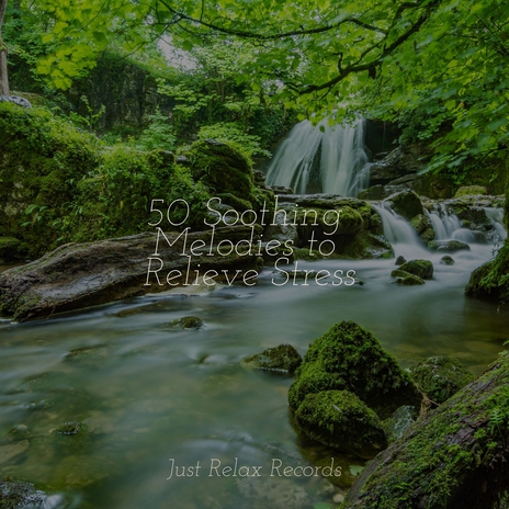 Melodic Drift Symphony ft. Guided Meditation & Lounge relax | Boomplay Music