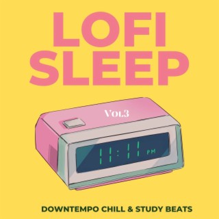 Lofi Sleep, Vol.3 (Downtempo Chill & Study Beats)
