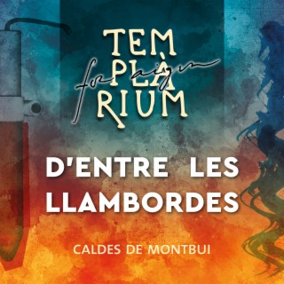 Templàrium. D'entre les llambordes