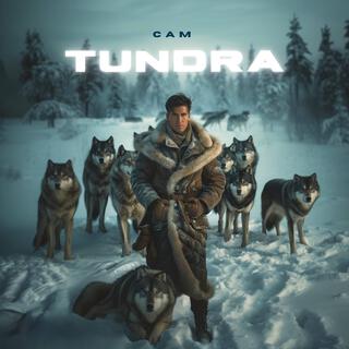 Tundra lyrics | Boomplay Music