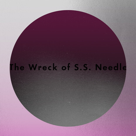 The Wreck of S.S. Needle ft. Julie Christmas | Boomplay Music