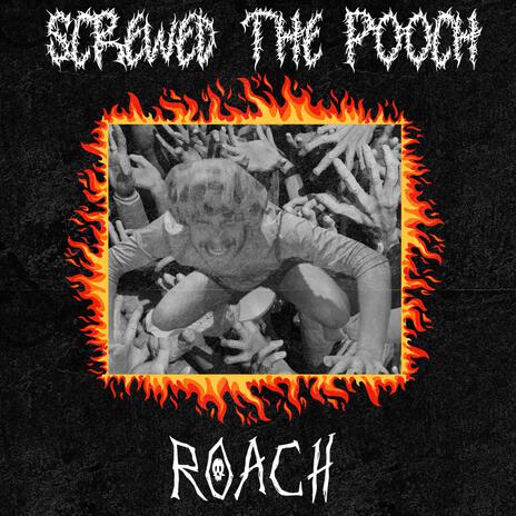 TEMPLE OF THE ROACH | Boomplay Music