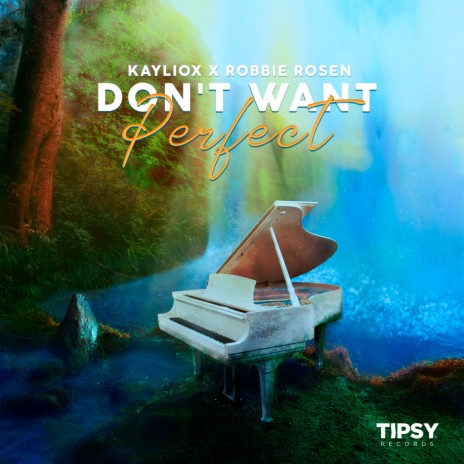 Don't Want Perfect ft. Robbie Rosen | Boomplay Music