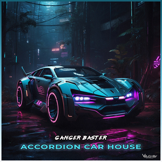 Accordion Car House