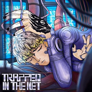 Trapped In The Net