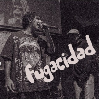 Fugacidad