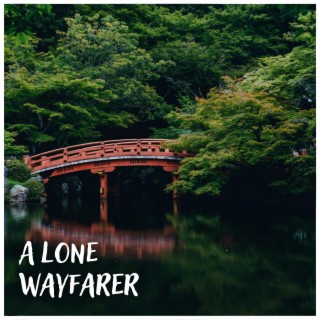 A Lone Wayfarer