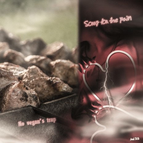 No Vegan's Trap / Sorry for the Pain | Boomplay Music
