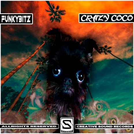 Crazy Coco | Boomplay Music