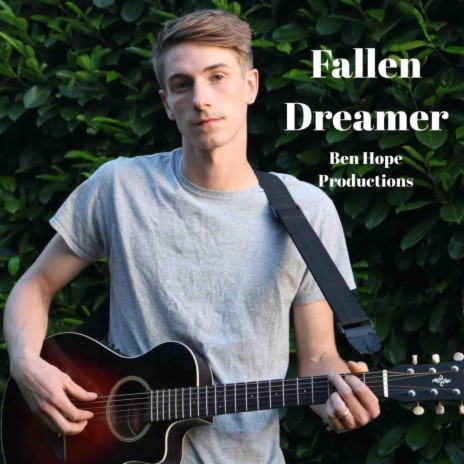Fallen Dreamer | Boomplay Music
