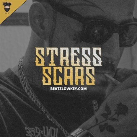 Stress Scars | Boomplay Music