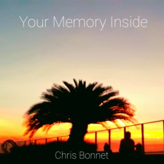 Your Memory Inside