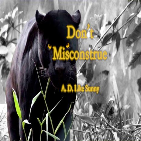 Don't Misconstrue | Boomplay Music