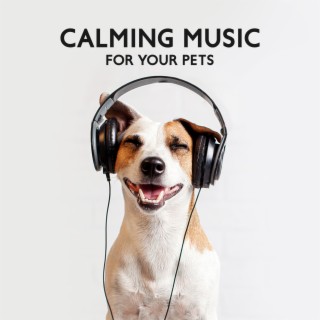 Calming Music for Your Pets: Soothing Sounds for Cats & Dogs