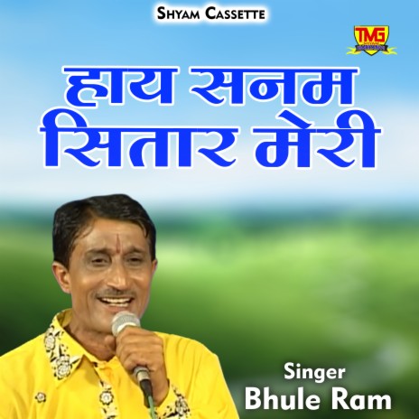 Haye Sanam Sitar Meri (Hindi) | Boomplay Music