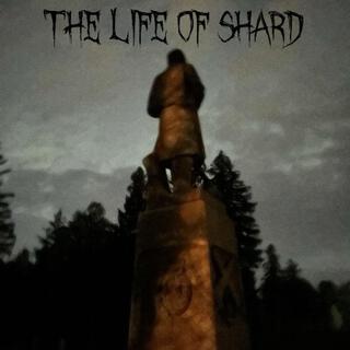 B.O.S Chapter 2: The Life of Shard