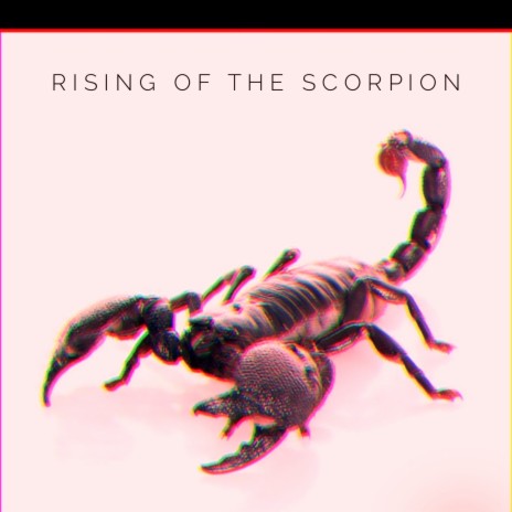 risingofthescorpion | Boomplay Music
