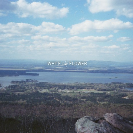 White Flower | Boomplay Music