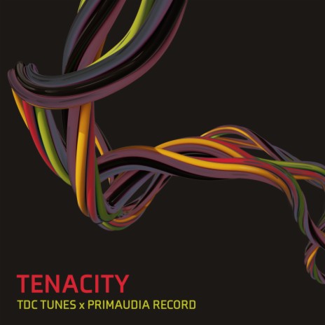 Tenacity ft. Primaudia Record | Boomplay Music
