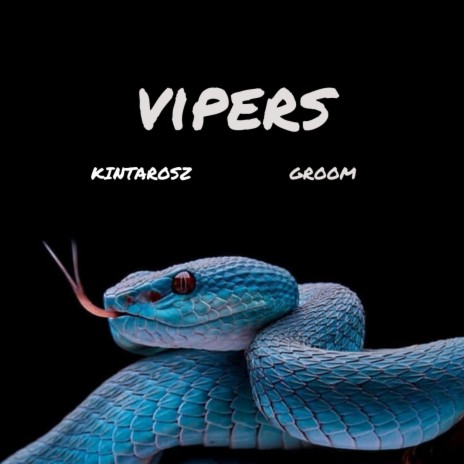 VIPERS ft. Groom | Boomplay Music