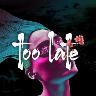 Too late (feat. Salem Ahmad & Abelardo Delmar)