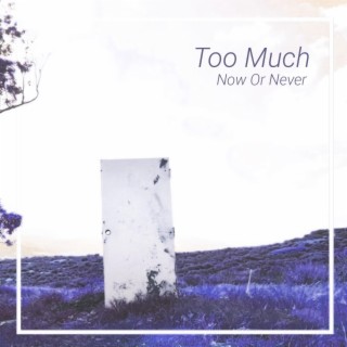 Too Much lyrics | Boomplay Music