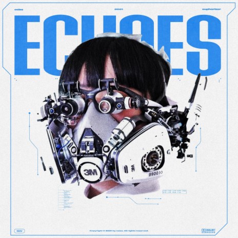 ECHOES ft. Euphorizer | Boomplay Music