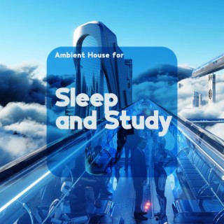 Ambient House for Sleep and Study: Atmospheric Ambient Chill Out, Chill Ambient Bedtime, Easy Study Music Chillout, Ambient Evening Chill Out