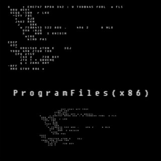 ProgramFiles(x86)