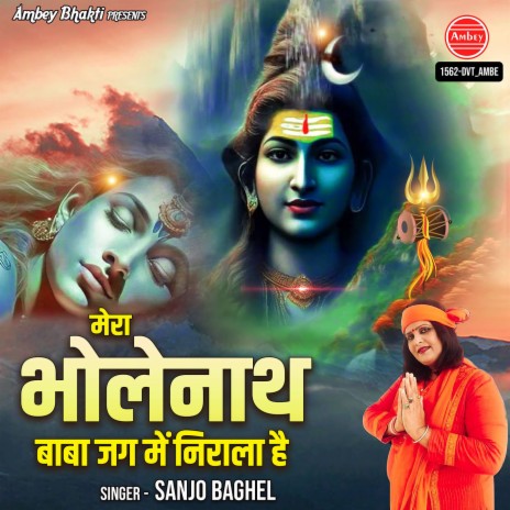 Mera Bholenath Baba Jag Me Nirala Hai | Boomplay Music