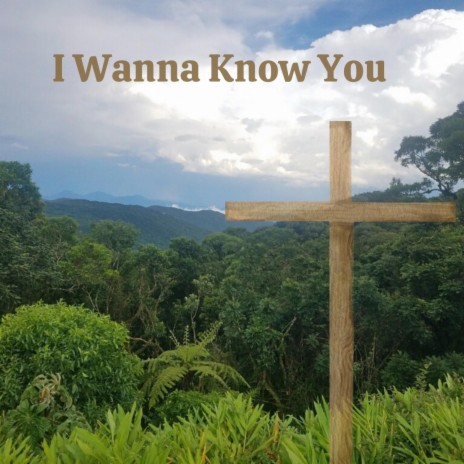 I Wanna Know You | Boomplay Music