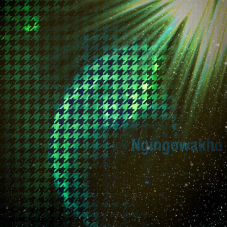Ngingowakho ft. Punky | Boomplay Music