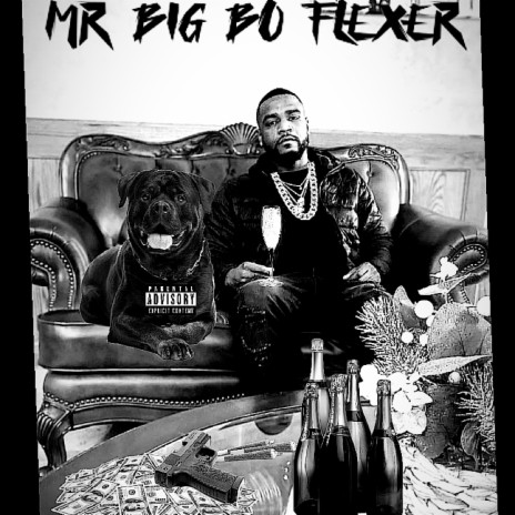 MR BIG BO FLEXER
