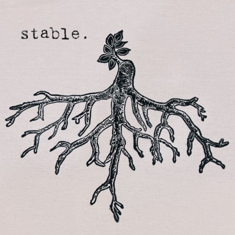 Stable | Boomplay Music