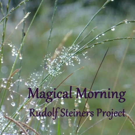 Magical Morning | Boomplay Music
