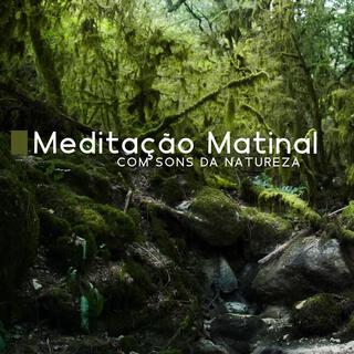 Meditação Matinal com Sons da Natureza: Calmantes Ondas do Mar, Pássaros Cantando Mansos, Música Instrumental Relaxante