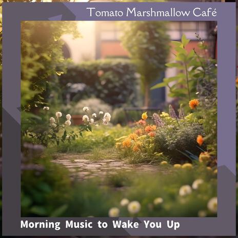 The Decision of the Morning | Boomplay Music