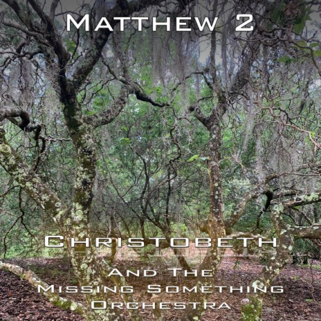 Matthew 2 | Boomplay Music