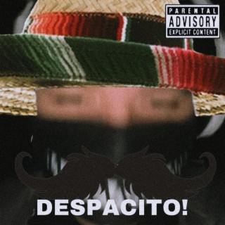 DESPACITO! ft. vÉ lyrics | Boomplay Music