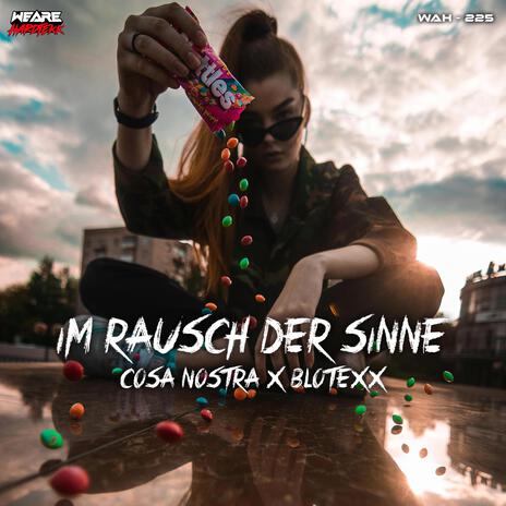 Im Rausch der Sinne ft. Blotexx | Boomplay Music