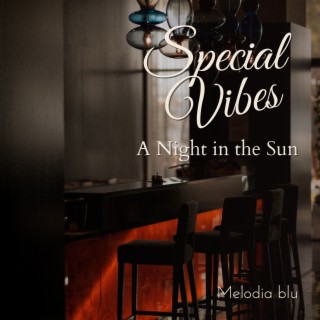 Special Vibes - a Night in the Sun