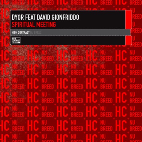 Spiritual Meeting (Original Dub Mix) ft. David Gionfriddo | Boomplay Music