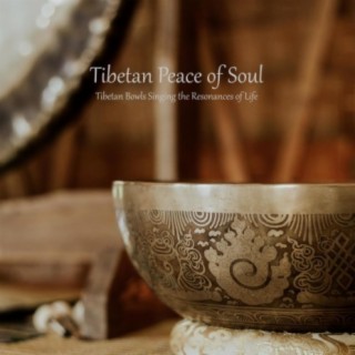 Tibetan Bowls Singing the Resonances of Life