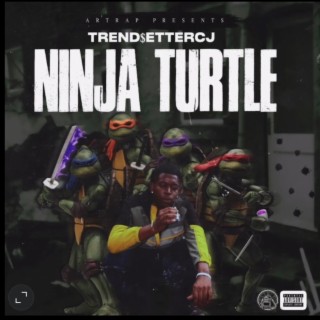 NINJA TURTLE