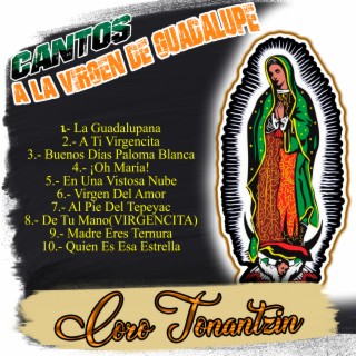 Cantos a la Virgen de Guadalupe