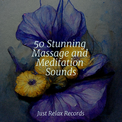 Soulful Adoration ft. Spa & Spa & Exam Study Classical Music | Boomplay Music