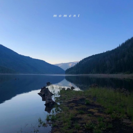 Knew | Boomplay Music