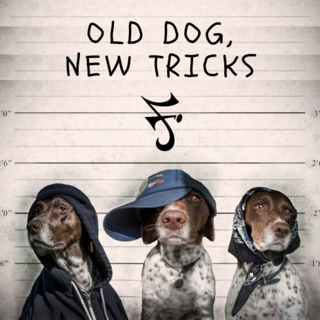 Old Dog, New Tricks (feat. Tek Luciano & Itz Midnite) | Boomplay Music